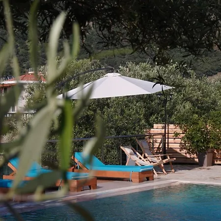 Ordams * Himare